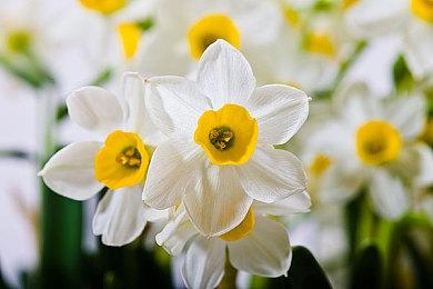 虚幻5.1沙丘沙漠场景演示版推出 4090被榨干